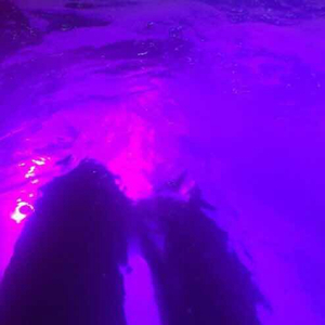 双男主mv大片外网播放
