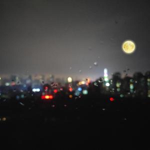 双男主mv大片外网播放
