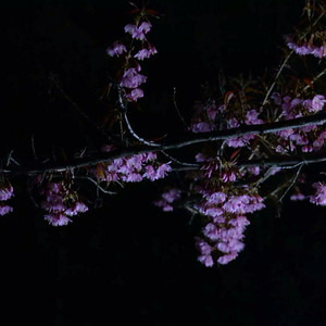 双男主mv大片外网播放
